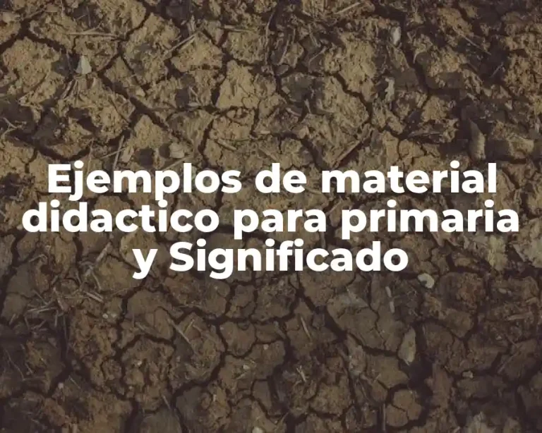 Ejemplos de material didactico para primaria y Significado