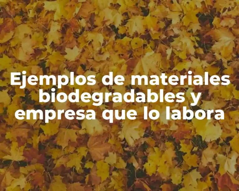 Ejemplos de materiales biodegradables y empresa que lo labora
