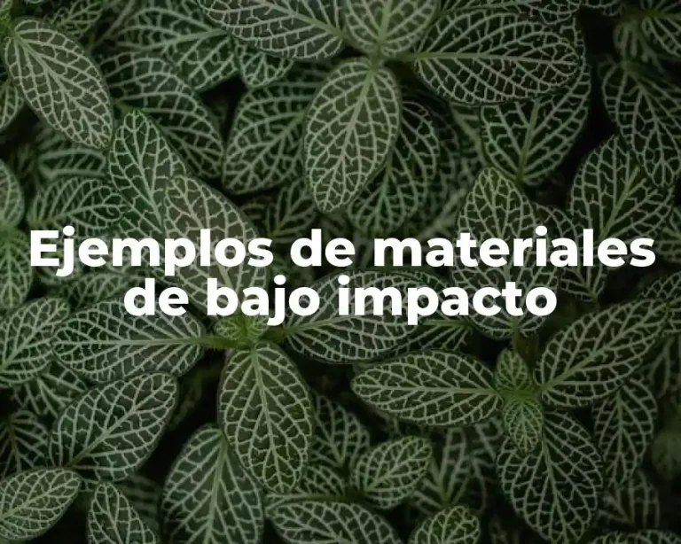Ejemplos de materiales de bajo impacto