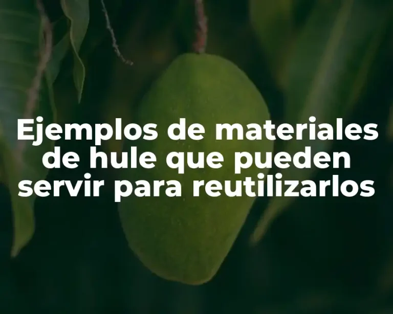 Ejemplos de materiales de hule que pueden servir para reutilizarlos