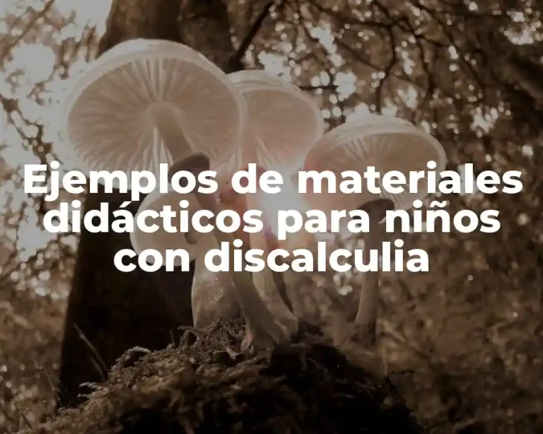 Ejemplos de materiales didácticos para niños con discalculia