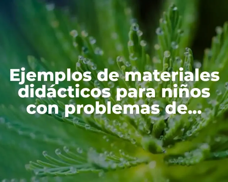Ejemplos de materiales didácticos para niños con problemas de aprendizaje
