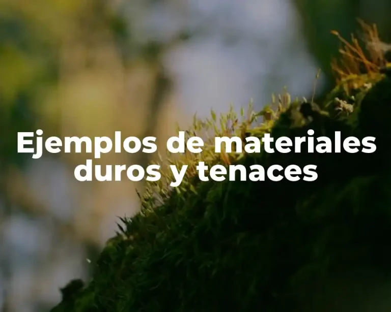 Ejemplos de materiales duros y tenaces