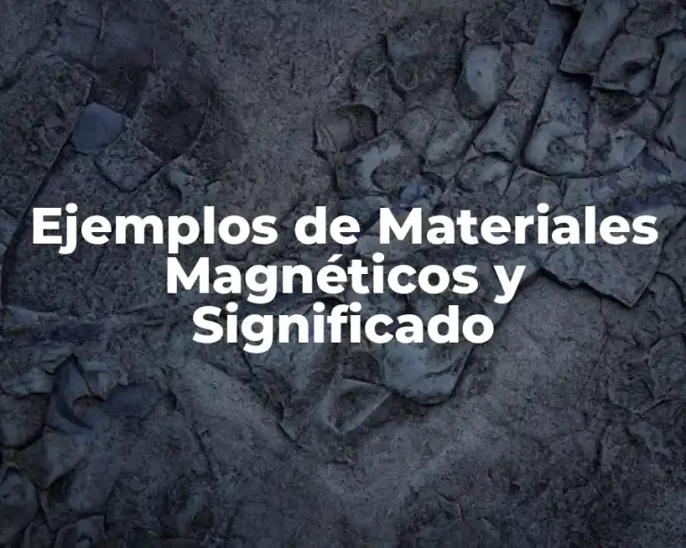 Ejemplos de Materiales Magnéticos y Significado