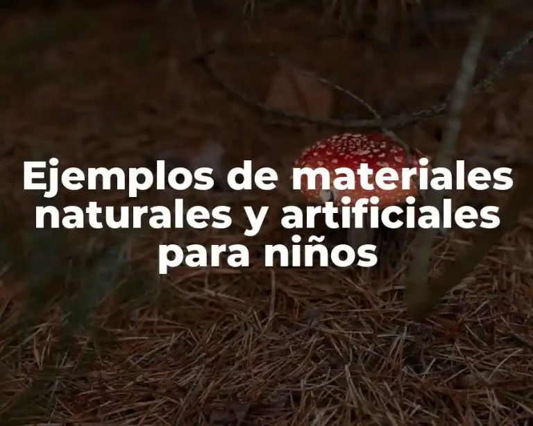 Ejemplos de materiales naturales y artificiales para niños