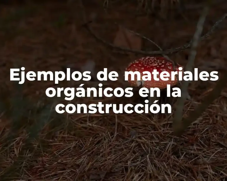 Ejemplos de materiales orgánicos en la construcción