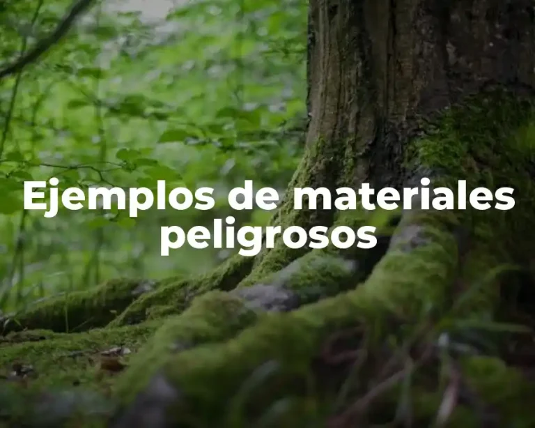 Ejemplos de materiales peligrosos