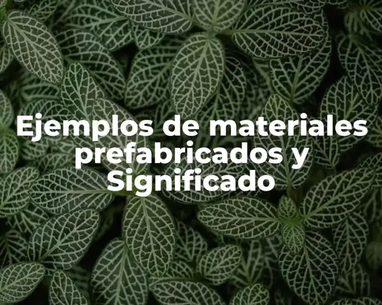 Ejemplos de materiales prefabricados y Significado