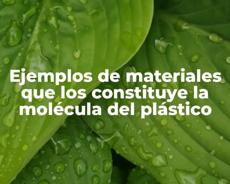 Ejemplos de materiales que los constituye la molécula del plástico