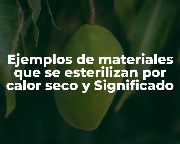 Ejemplos de materiales que se esterilizan por calor seco y Significado