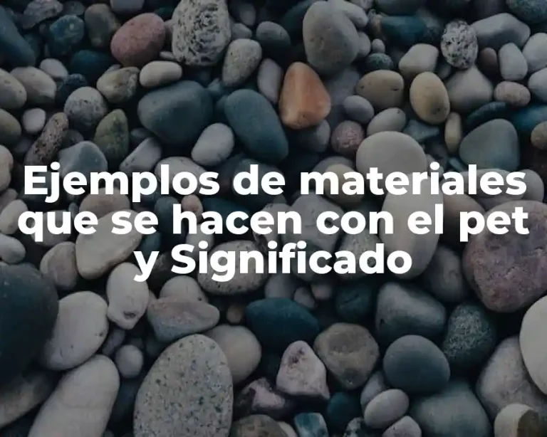 Ejemplos de materiales que se hacen con el pet y Significado