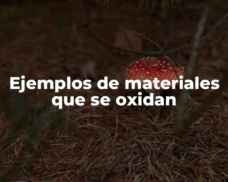Ejemplos de materiales que se oxidan