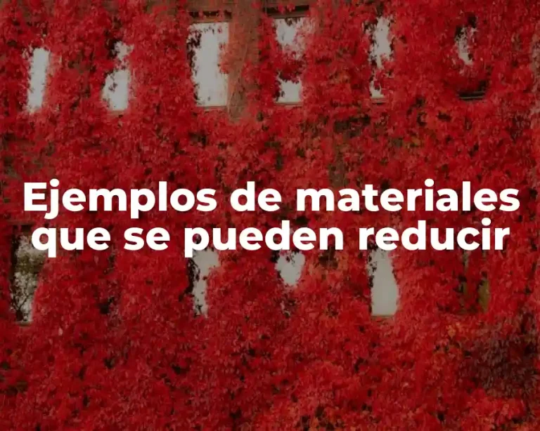 Ejemplos de materiales que se pueden reducir