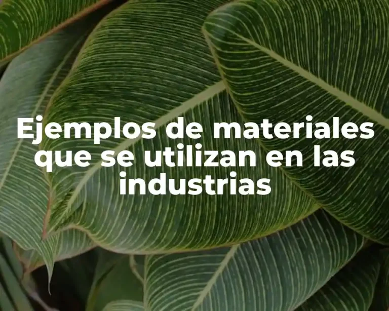 Ejemplos de materiales que se utilizan en las industrias