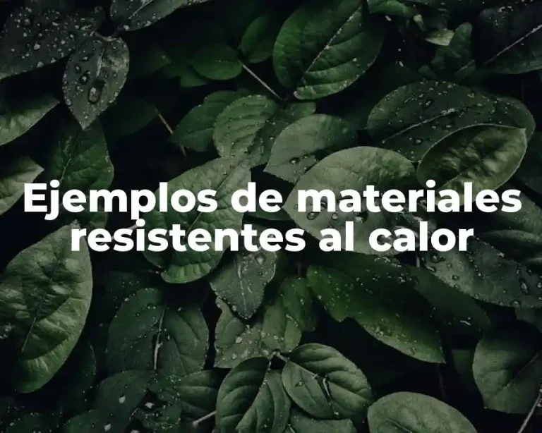 Ejemplos de materiales resistentes al calor