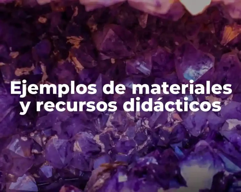 Ejemplos de materiales y recursos didácticos