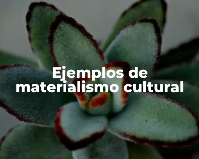 Ejemplos de materialismo cultural