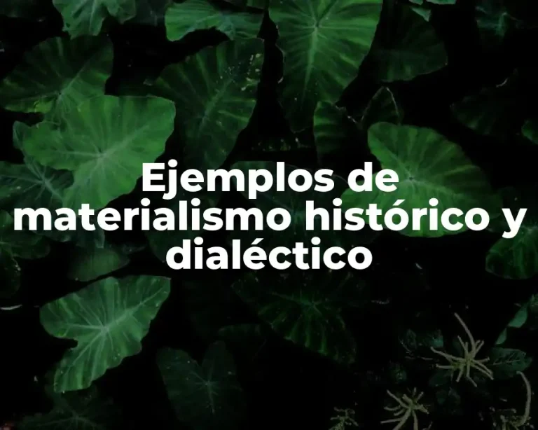 Ejemplos de materialismo histórico y dialéctico