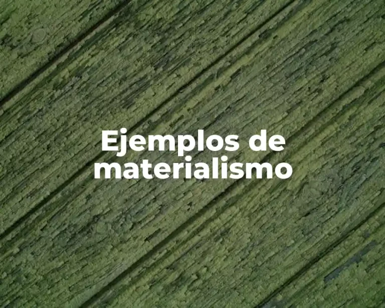 Ejemplos de materialismo