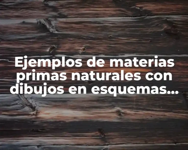 Ejemplos de materias primas naturales con dibujos en esquemas con dibujos