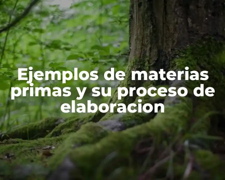 Ejemplos de materias primas y su proceso de elaboracion