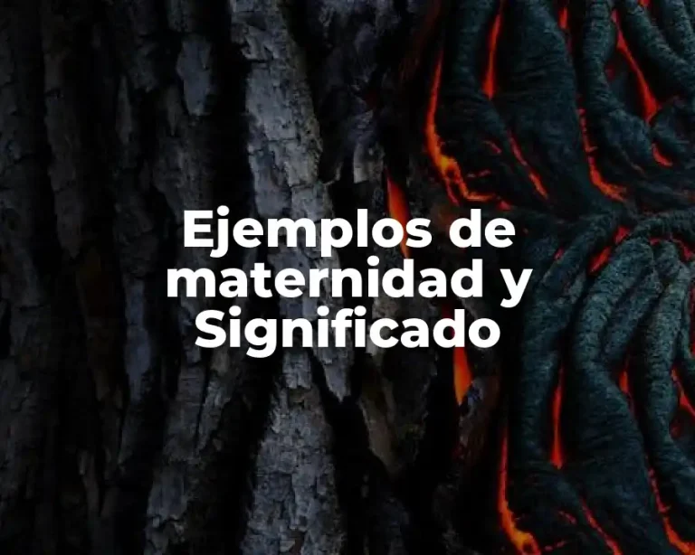 Ejemplos de maternidad y Significado