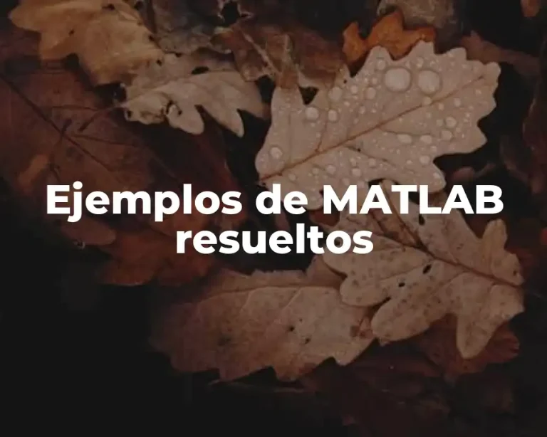 Ejemplos de MATLAB resueltos