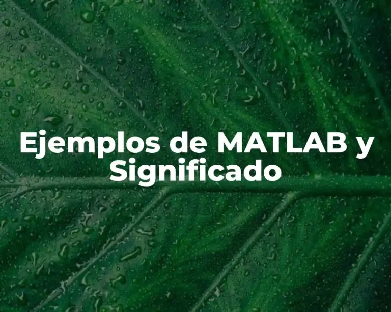 Ejemplos de MATLAB y Significado