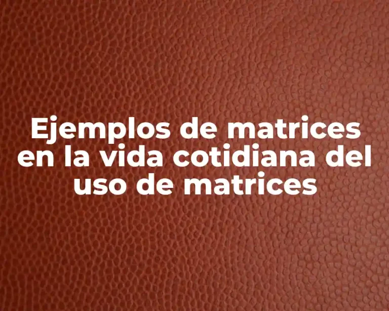 Ejemplos de matrices en la vida cotidiana del uso de matrices