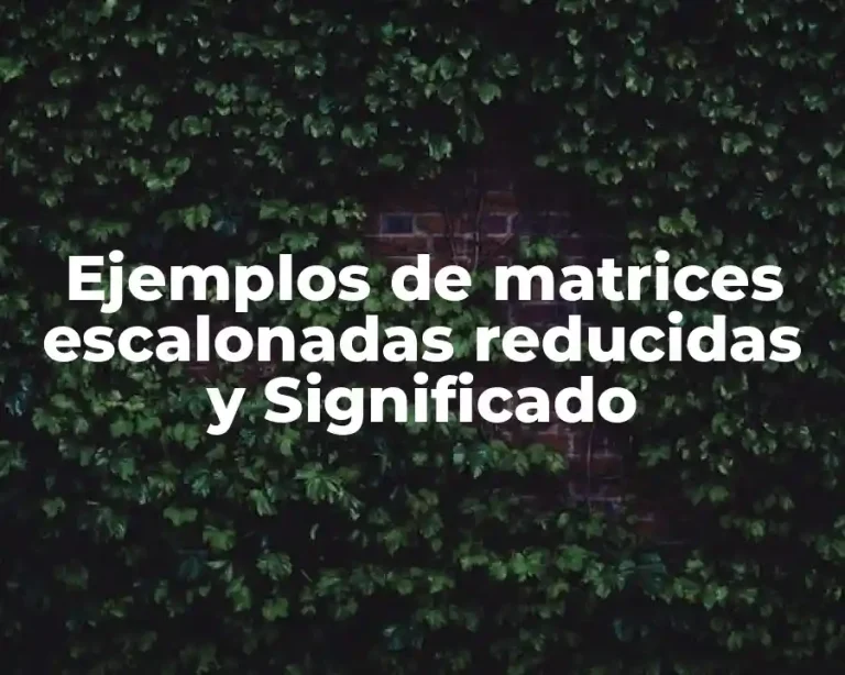 Ejemplos de matrices escalonadas reducidas y Significado
