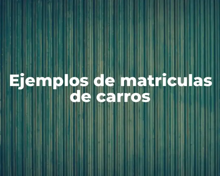 Ejemplos de matriculas de carros