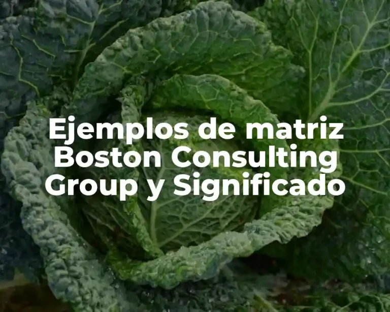 Ejemplos de matriz Boston Consulting Group y Significado