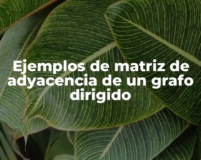 Ejemplos de matriz de adyacencia de un grafo dirigido