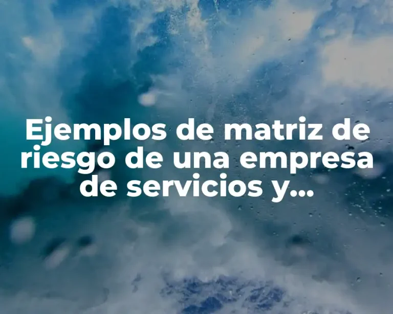 Ejemplos de matriz de riesgo de una empresa de servicios y Significado