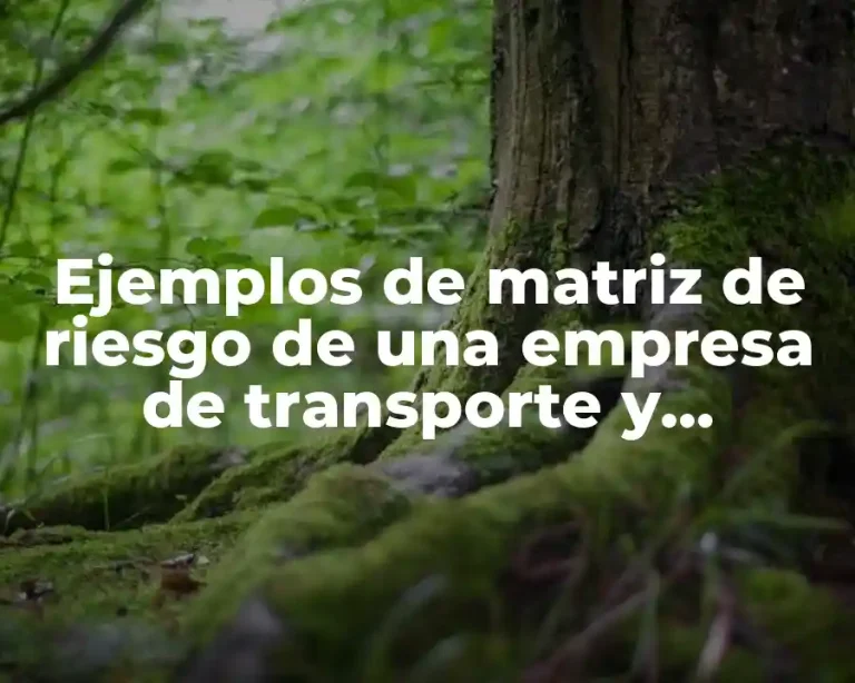 Ejemplos de matriz de riesgo de una empresa de transporte y Significado