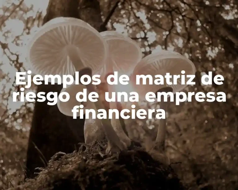 Ejemplos de matriz de riesgo de una empresa financiera