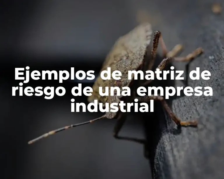 Ejemplos de matriz de riesgo de una empresa industrial