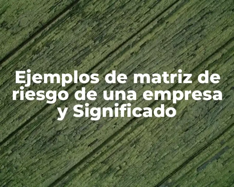 Ejemplos de matriz de riesgo de una empresa y Significado