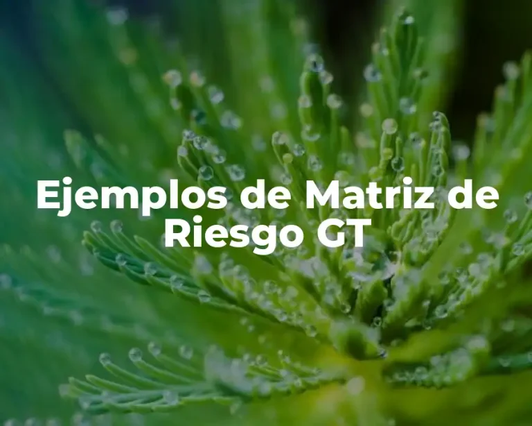 Ejemplos de Matriz de Riesgo GT
