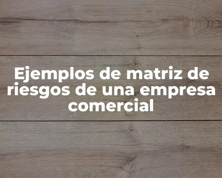 Ejemplos de matriz de riesgos de una empresa comercial