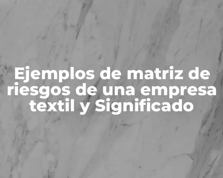 Ejemplos de matriz de riesgos de una empresa textil y Significado