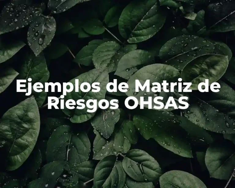 Ejemplos de Matriz de Riesgos OHSAS