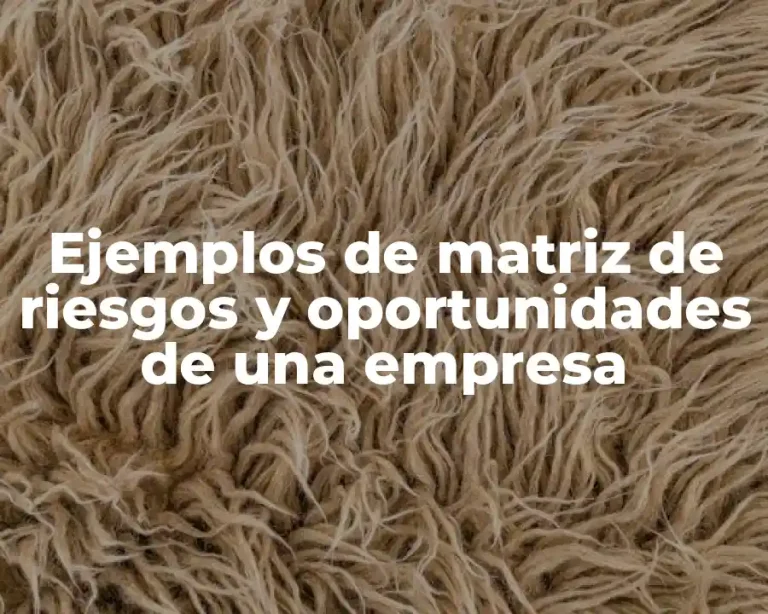Ejemplos de matriz de riesgos y oportunidades de una empresa