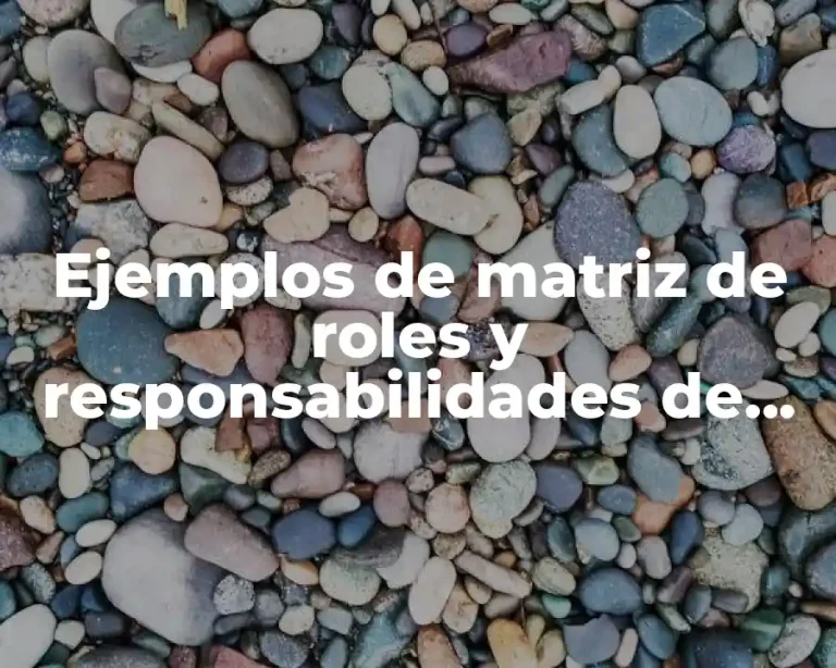 Ejemplos de matriz de roles y responsabilidades de un proyecto