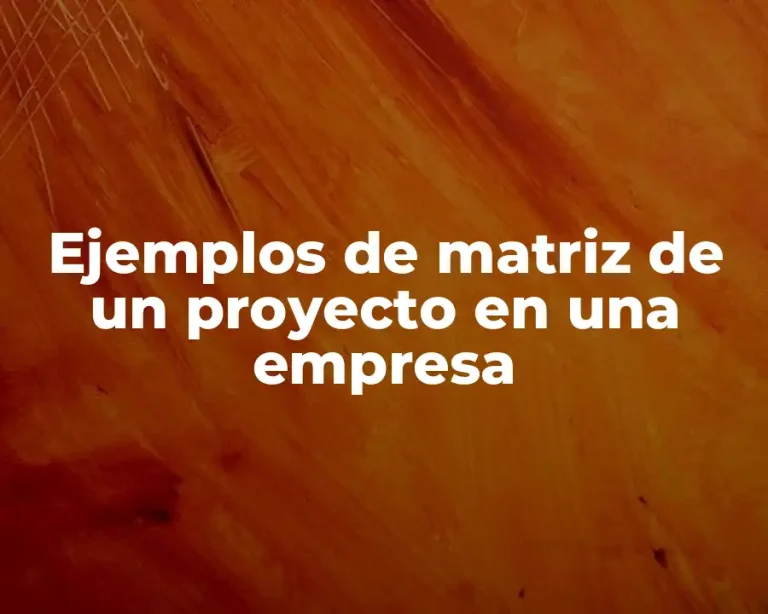 Ejemplos de matriz de un proyecto en una empresa