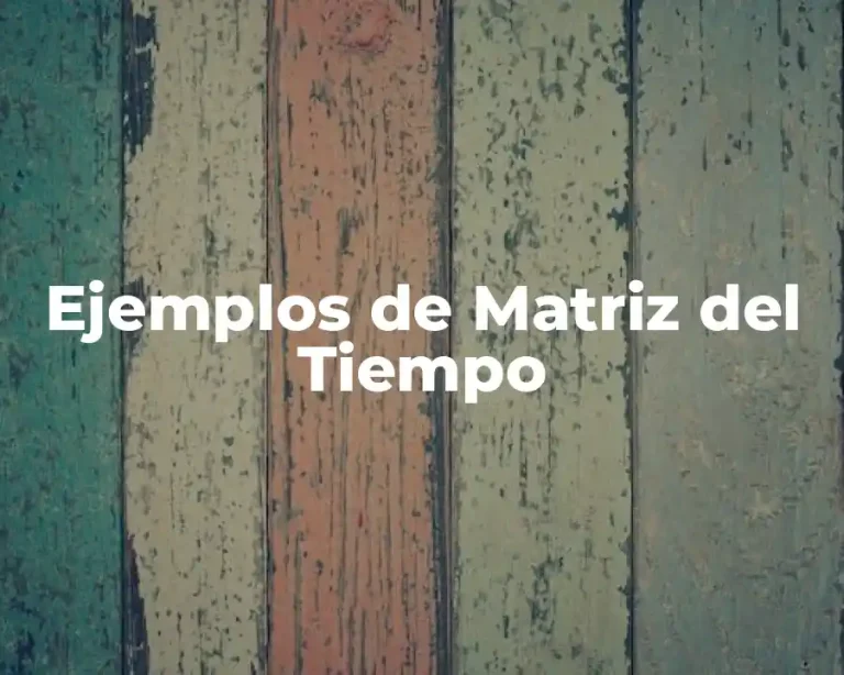 Ejemplos de Matriz del Tiempo