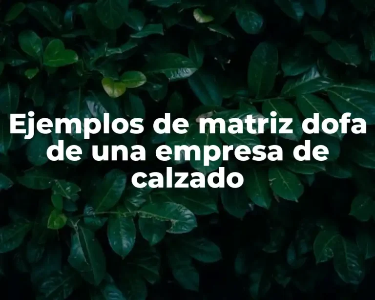 Ejemplos de matriz dofa de una empresa de calzado