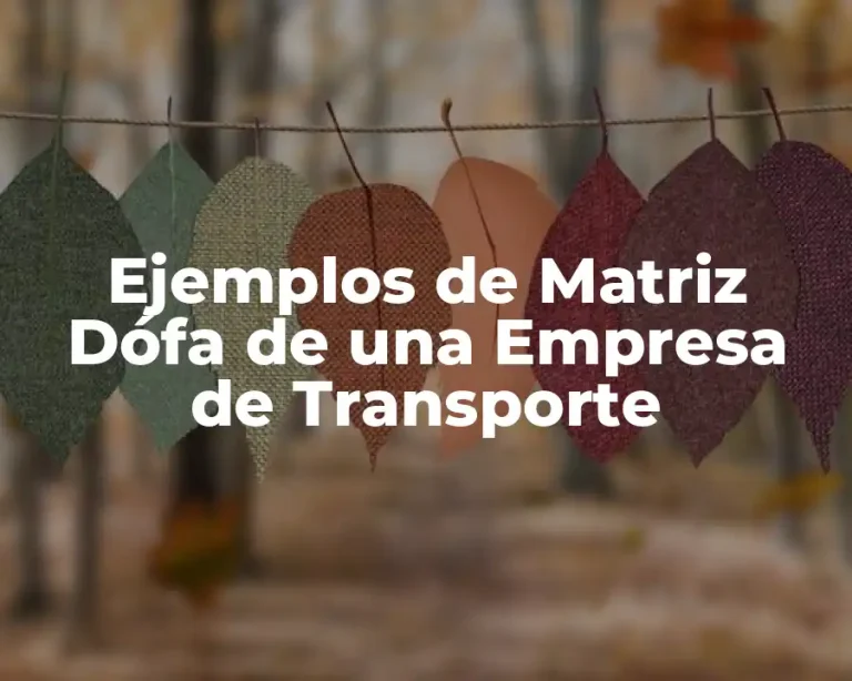 Ejemplos de Matriz Dófa de una Empresa de Transporte