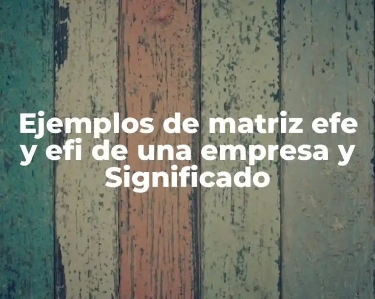 Ejemplos de matriz efe y efi de una empresa y Significado