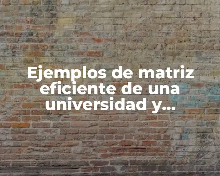Ejemplos de matriz eficiente de una universidad y Significado